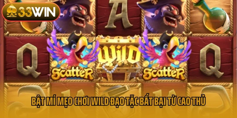 Bật mí mẹo chơi Wild đạo tặc bất bại từ cao thủ