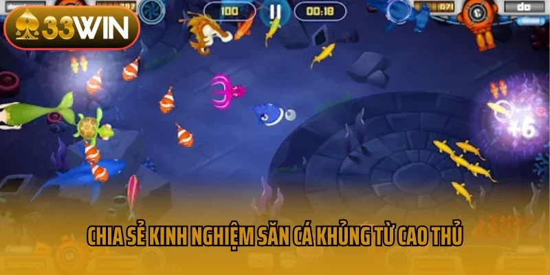 Chia sẻ kinh nghiệm săn cá khủng từ cao thủ