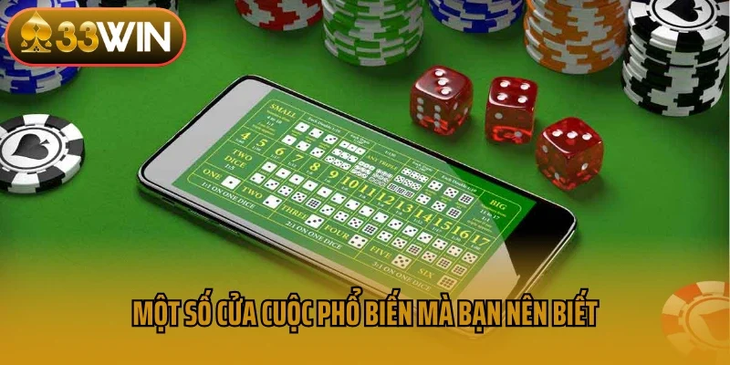Một số cửa cuộc phổ biến mà bạn nên biết